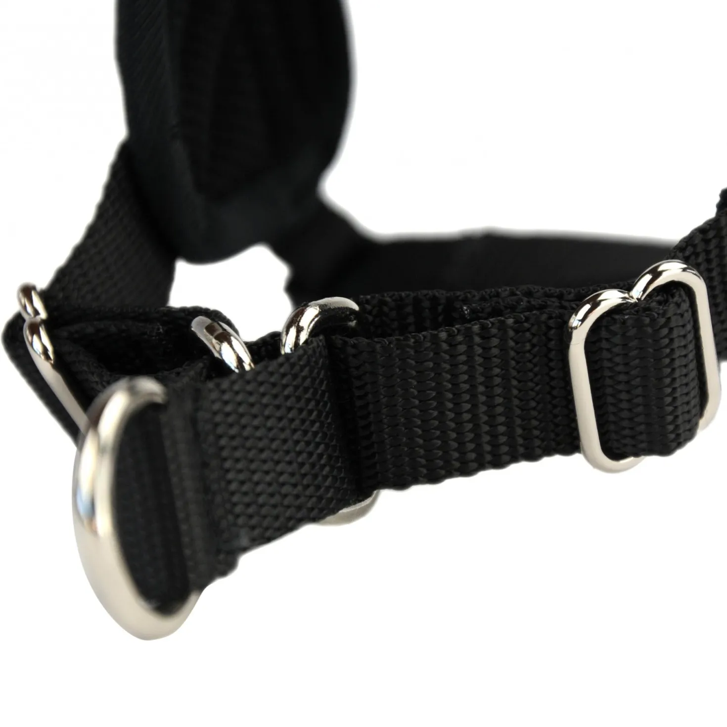 Multi Harnais Classic chien