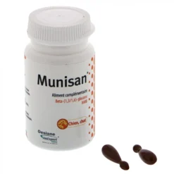 Munisan chat, chien