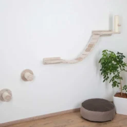 Mur d'escalade Chat