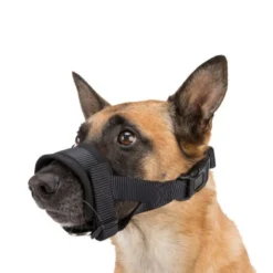 Muselière de dressage rembourrée chien