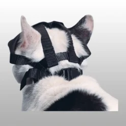 Muselière Nylon Kruuse chat