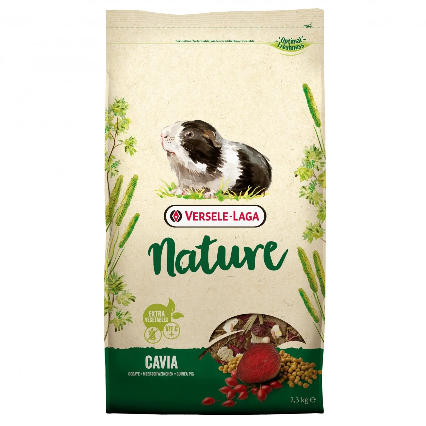 Nature Cavia rongeur