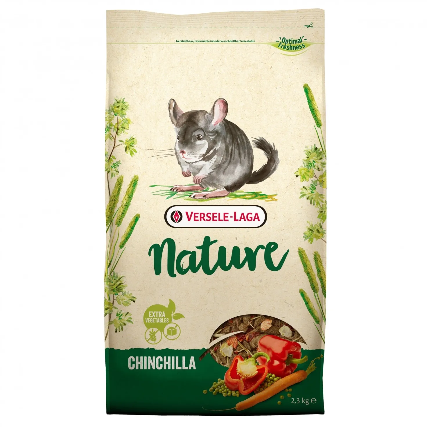 Nature chinchilla