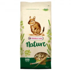Nature Degu dègue du Chili