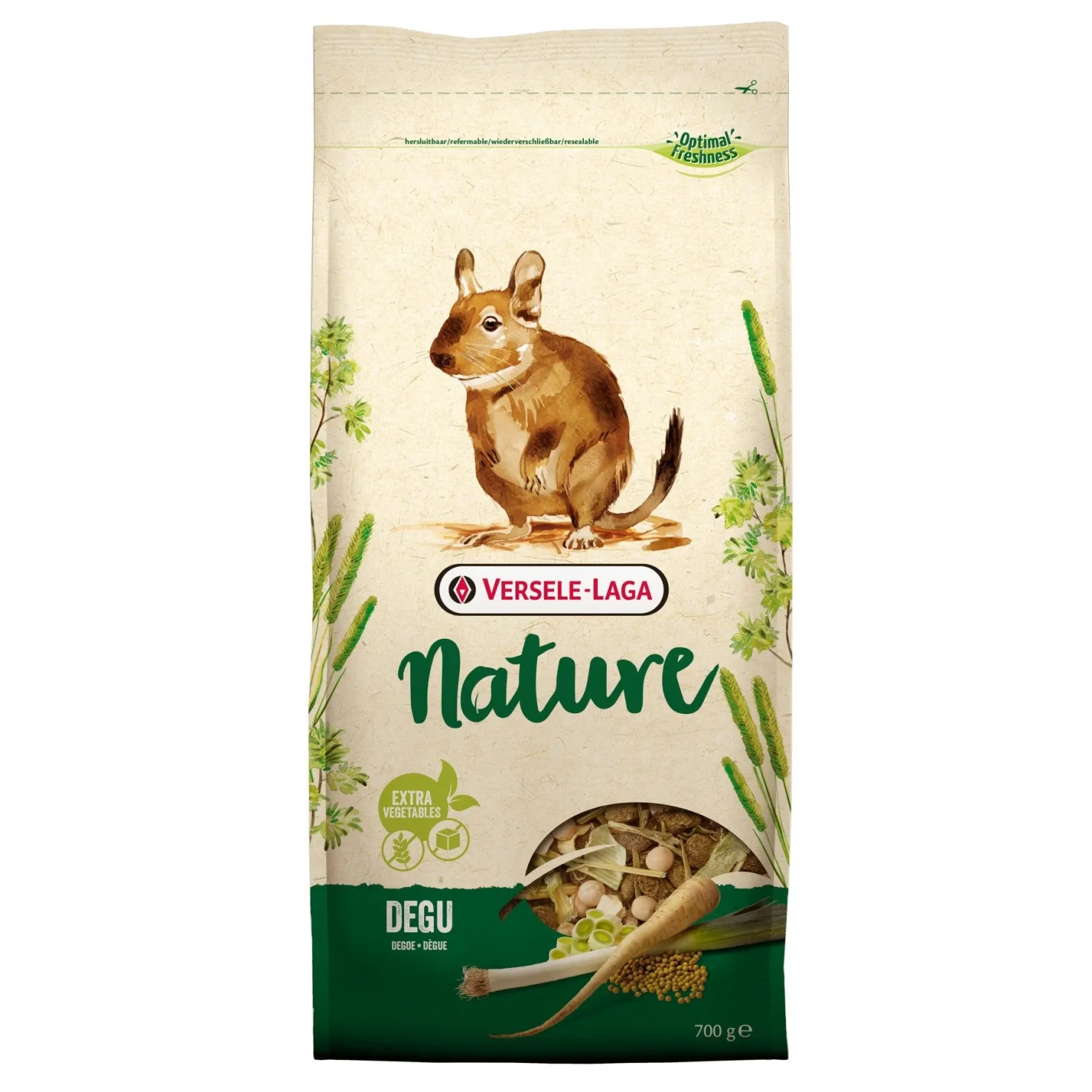 Nature Degu dègue du Chili