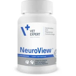 Neuroview chat, chien