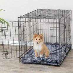Niche d'intérieur Kennel