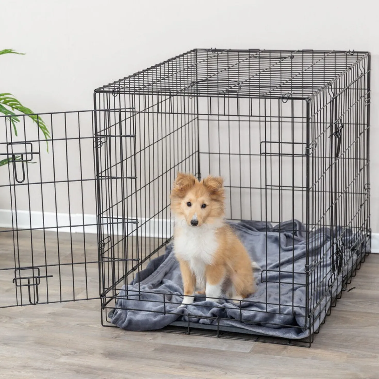 Niche d'intérieur Kennel