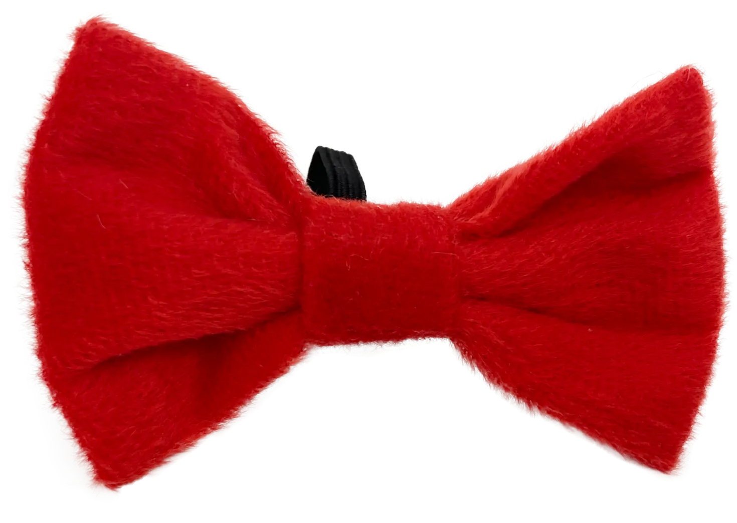 Noeud rouge de Noël chien, chat