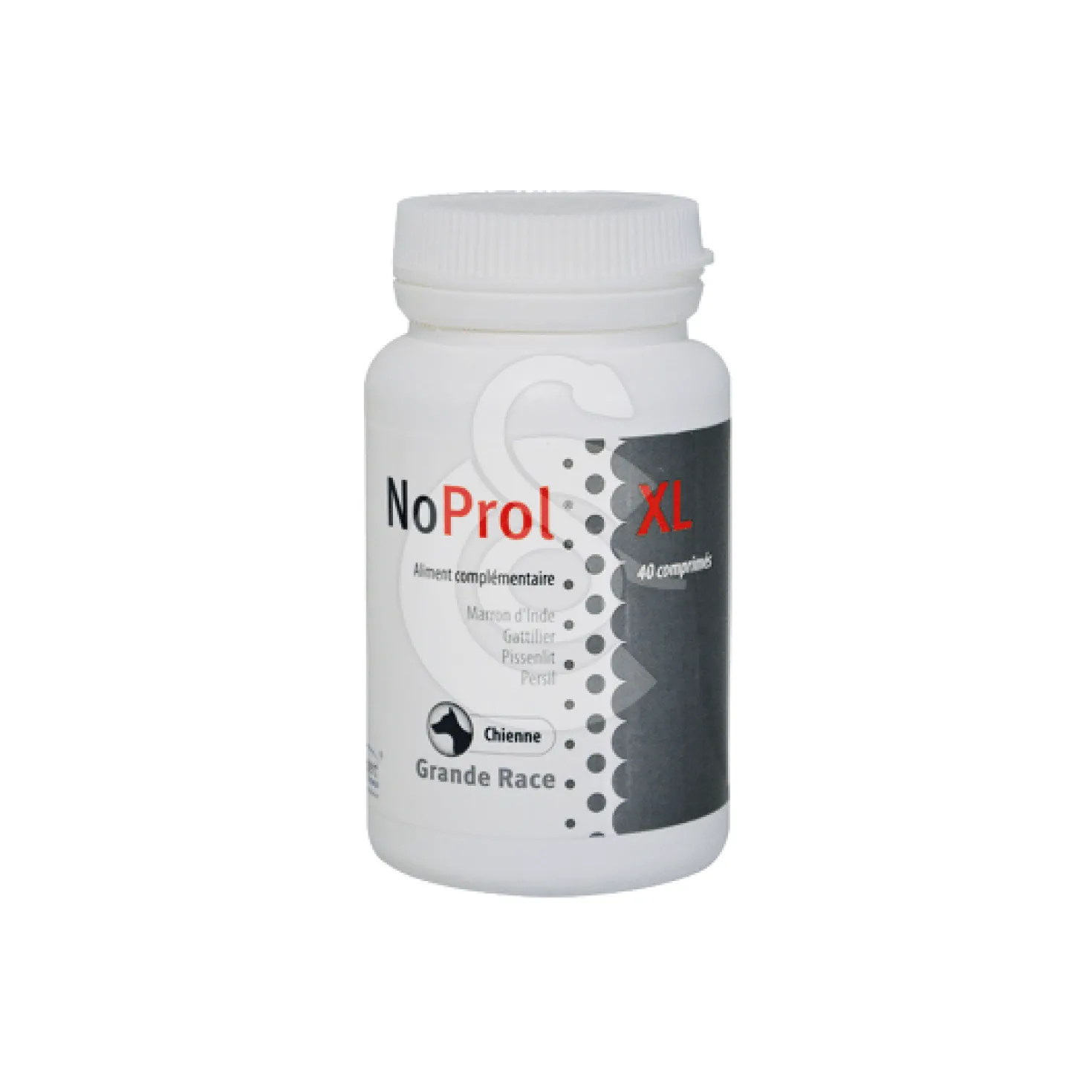 Noprol XL chienne grande race