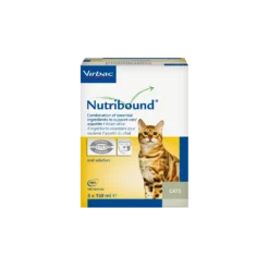 Nutribound chat