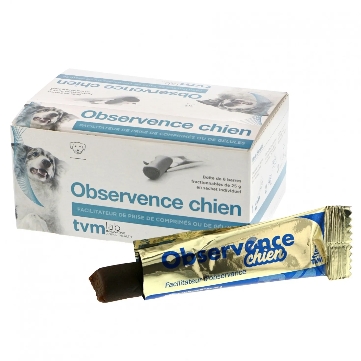 Observence chien