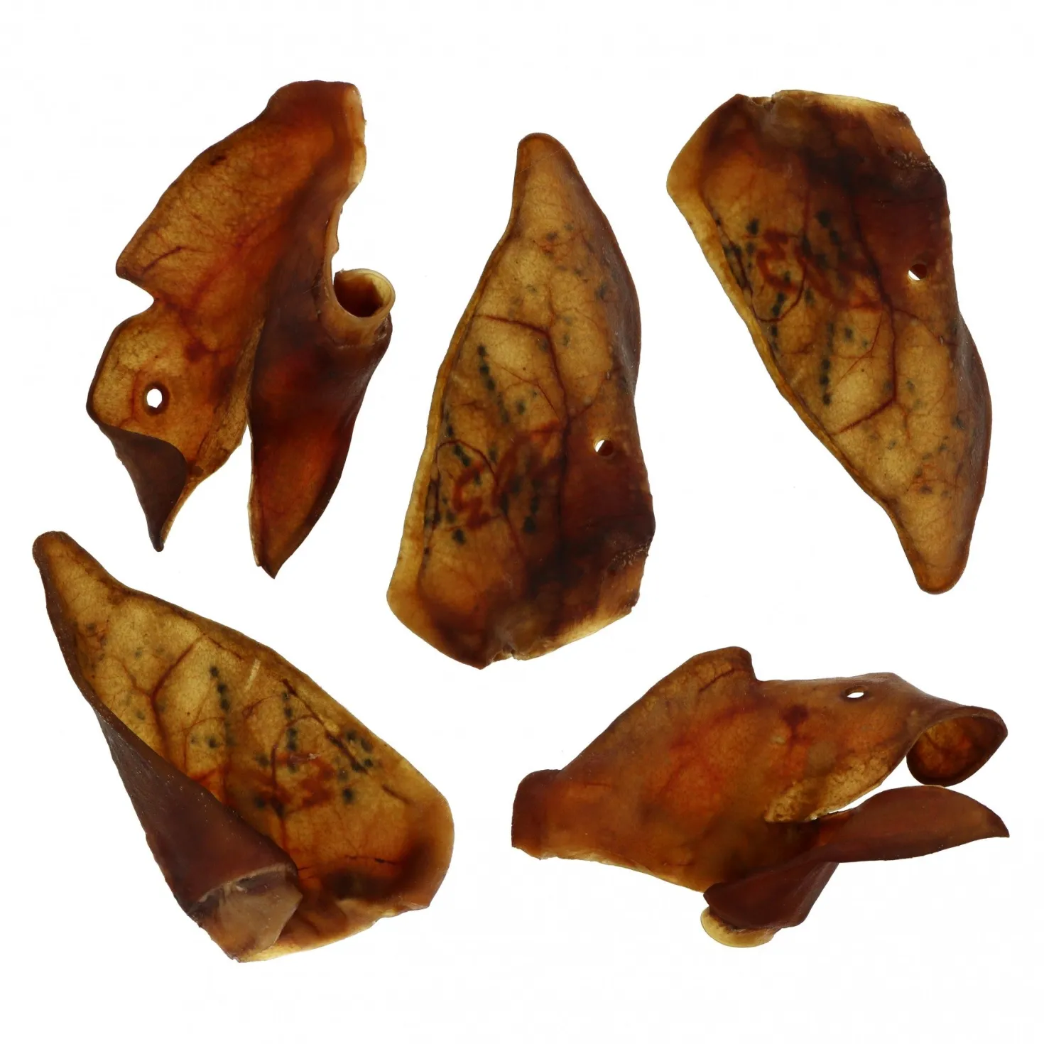 Oreilles de porc XXL