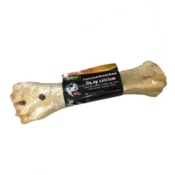Os au calcium