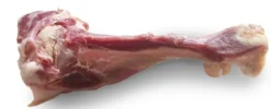 Os jambon de parme chien