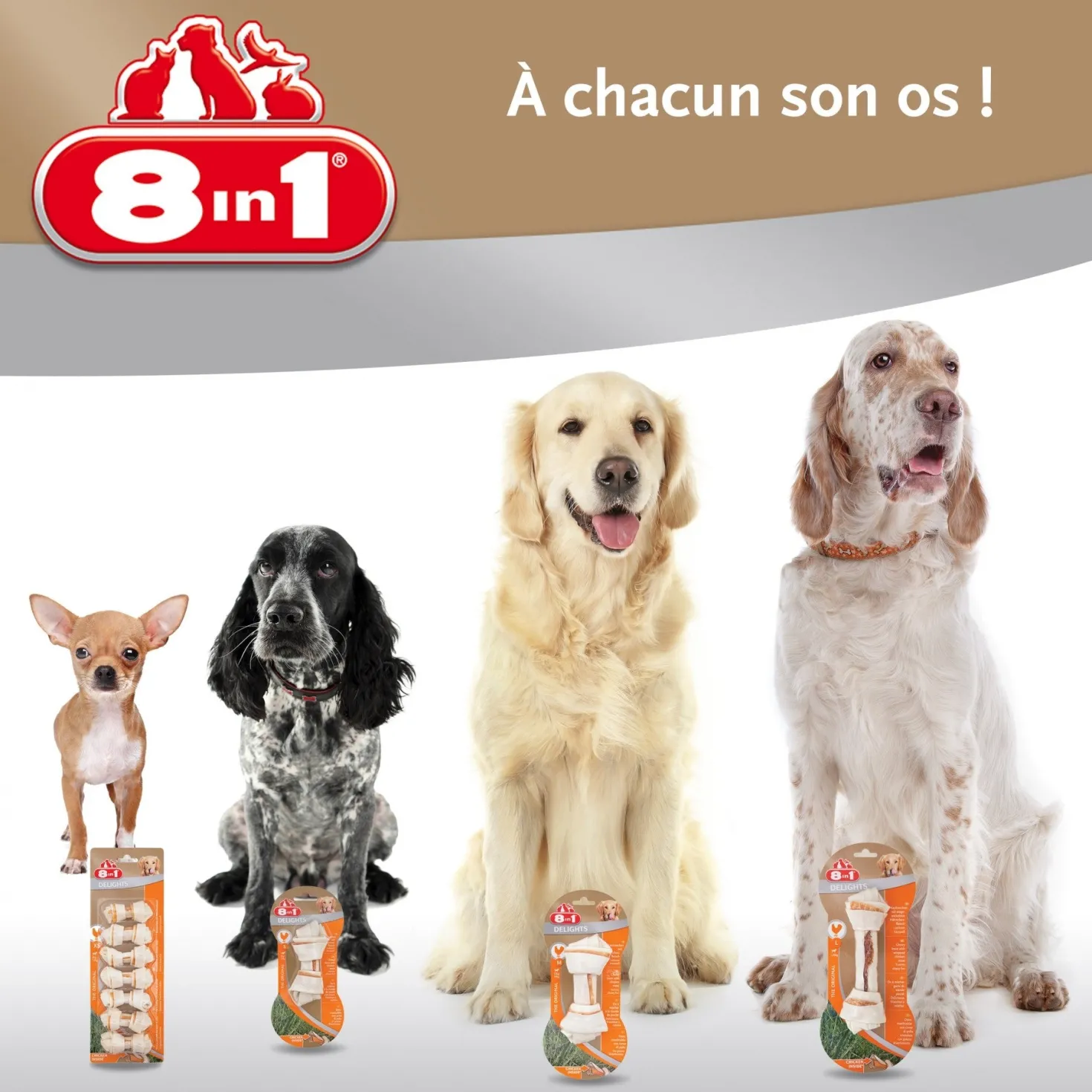 Os à mâcher Delights