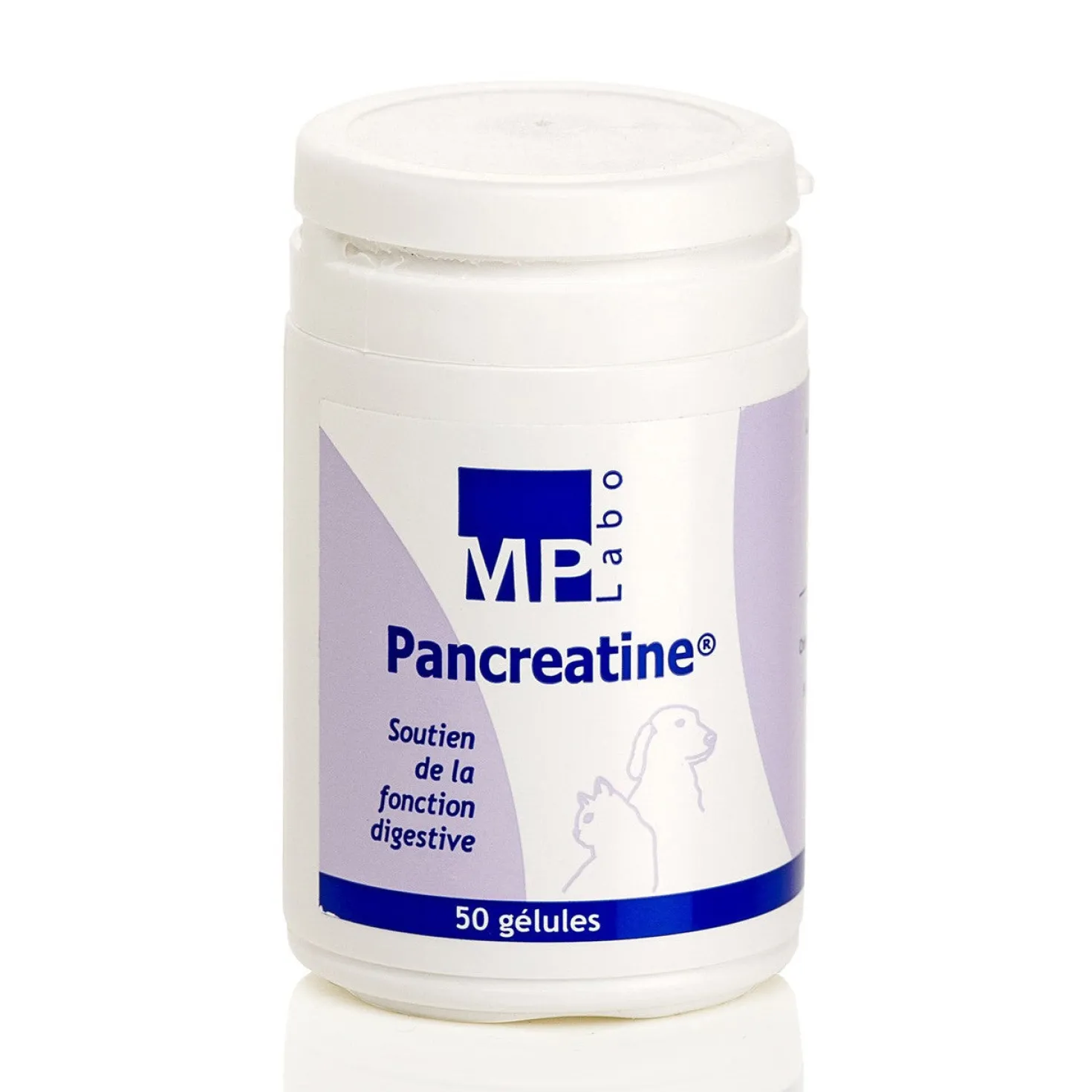 Pancreatine chat, chien