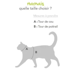 Parure harnais et laisse Flash chat
