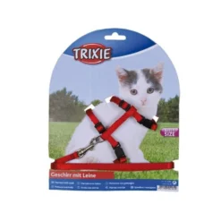 Parure laisse et harnais Kitty chaton