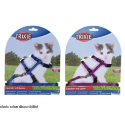 Parure laisse et harnais Kitty chaton