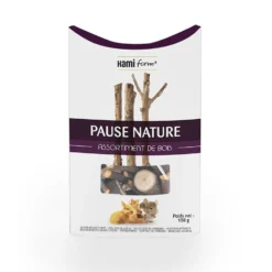 Pause Nature rongeur