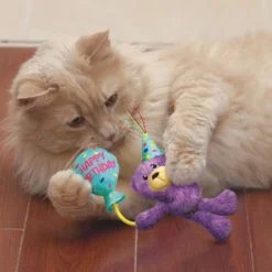 Peluche Birthday Teddy Kong chat