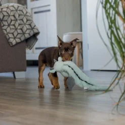 Peluche Dragon chiot