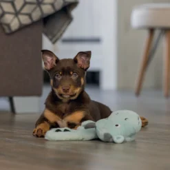 Peluche Dragon chiot