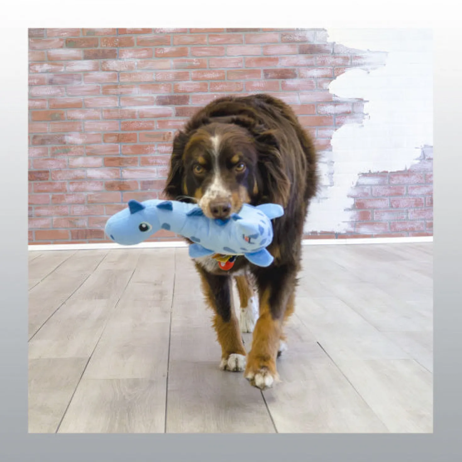 Peluche Dynos pour chien