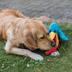 Peluche pélican chien