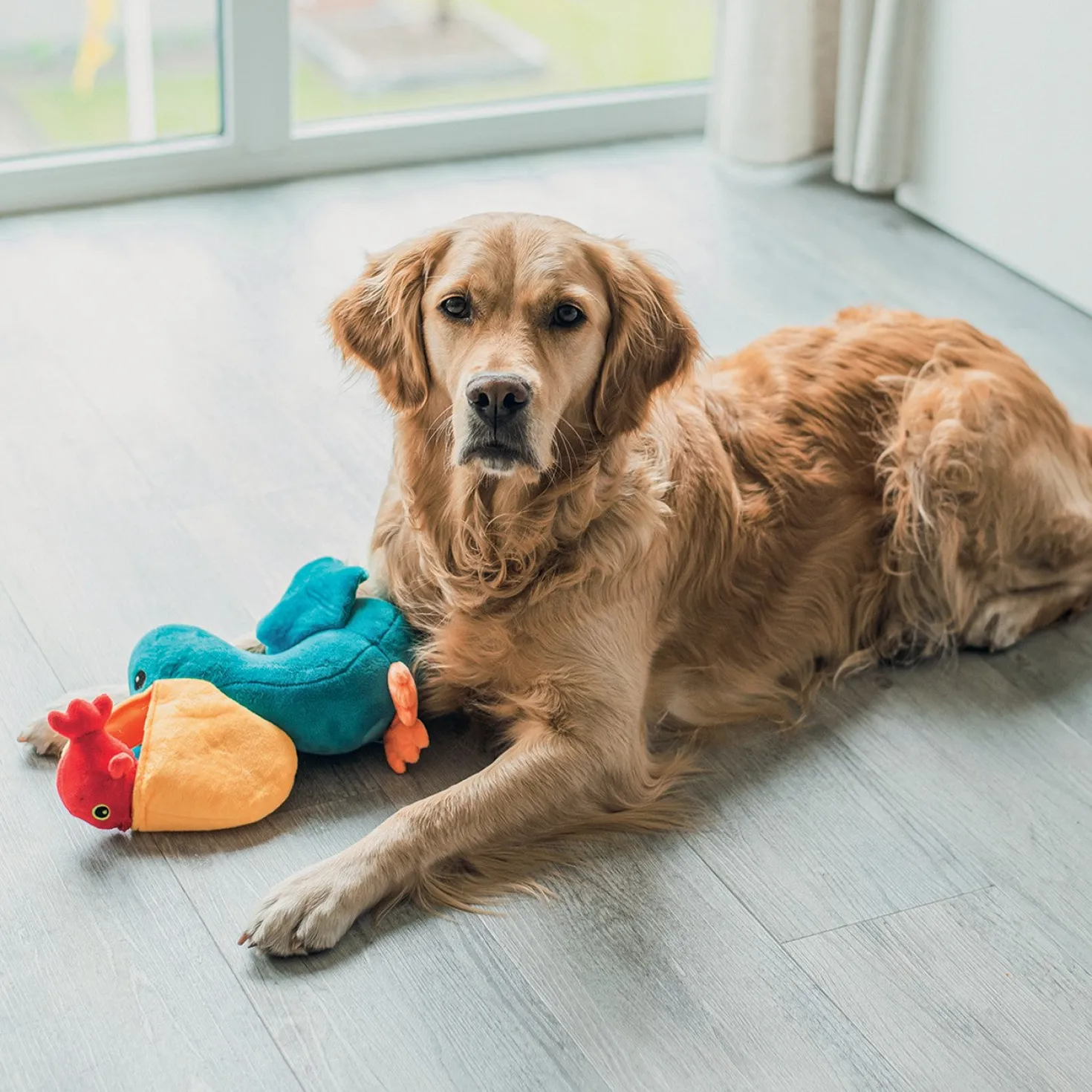 Peluche pélican chien