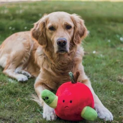 Peluche pomme chien