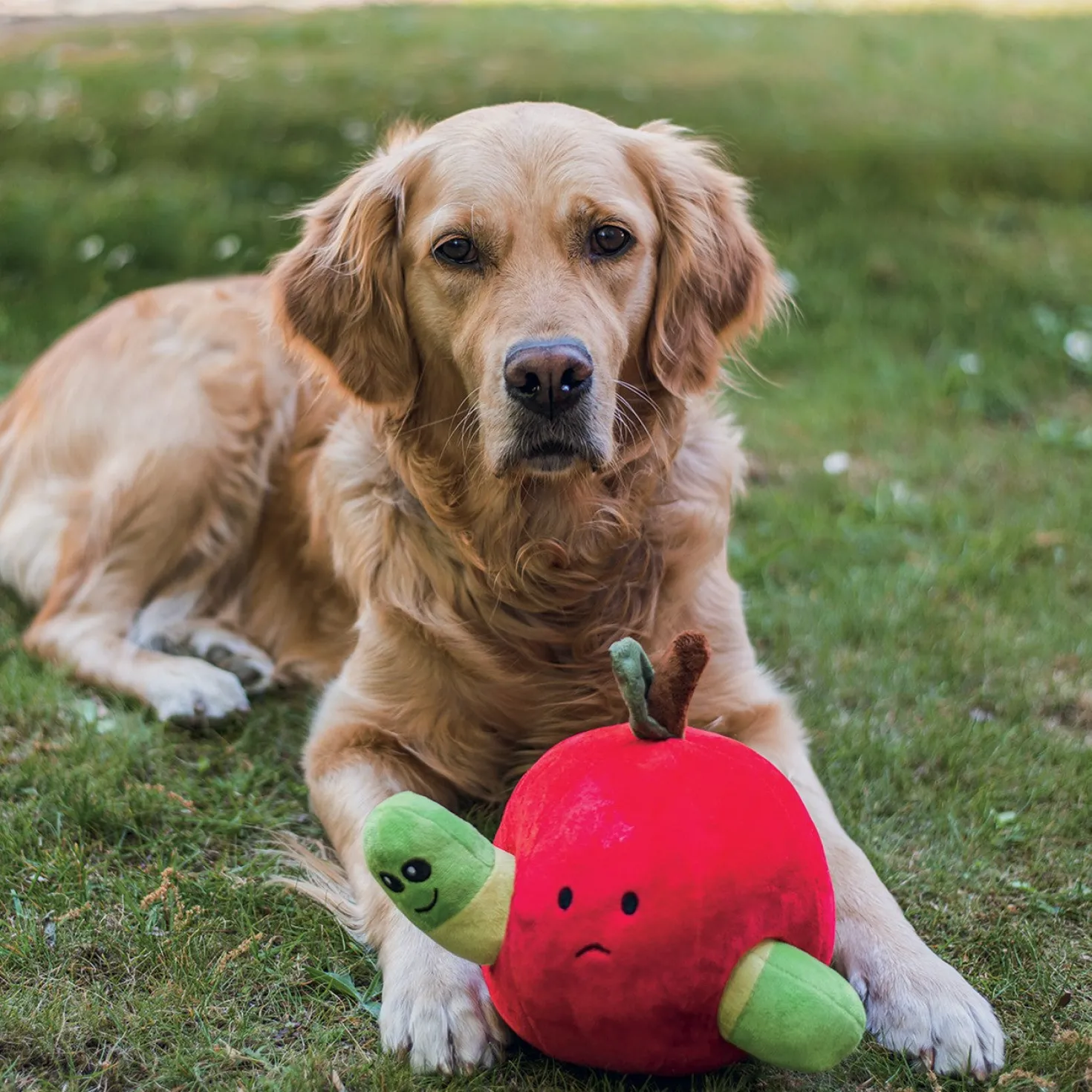 Peluche pomme chien