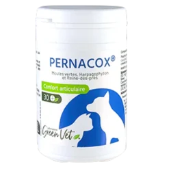 Pernacox chat, chien