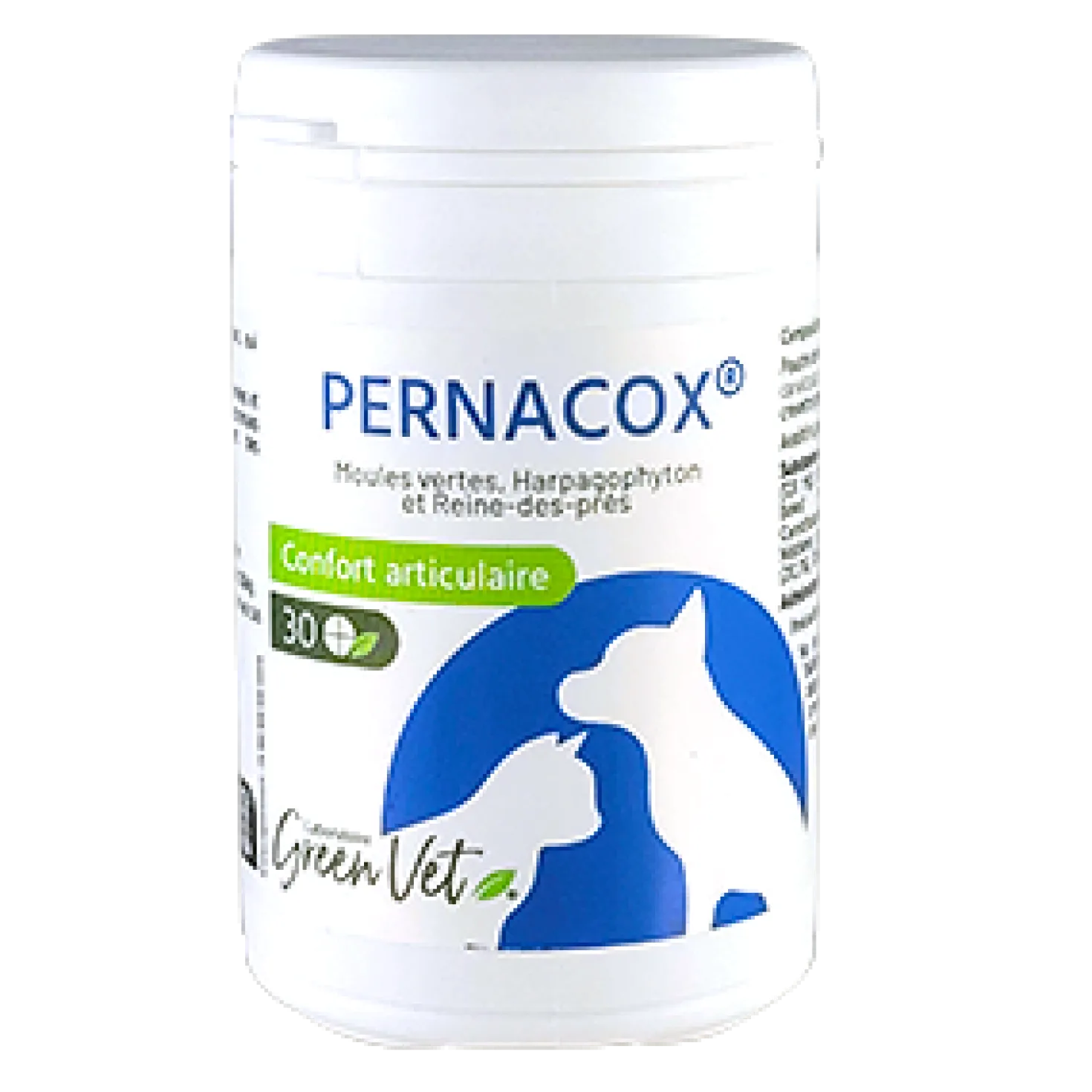 Pernacox chat, chien