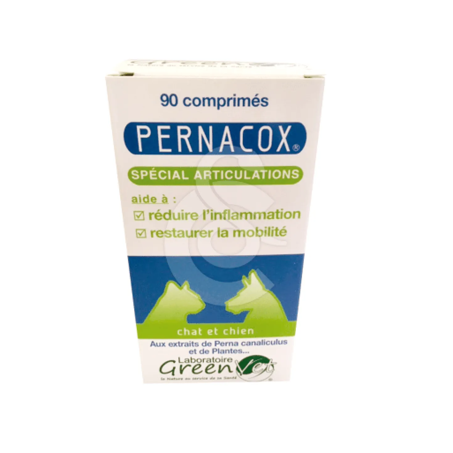 Pernacox chat, chien