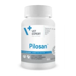 Pilosan chien