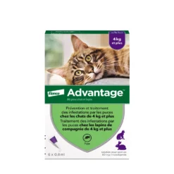 Pipettes Advantage chat, lapin