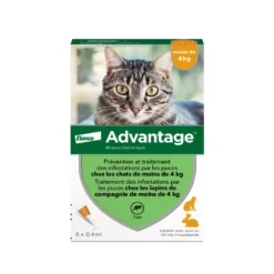 Pipettes Advantage chat, lapin