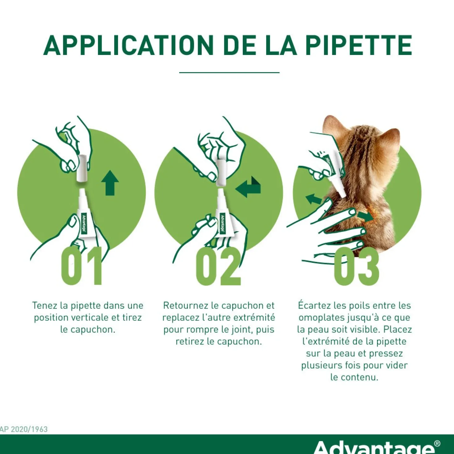 Pipettes Advantage chat, lapin