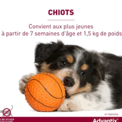 Pipettes Advantix chien