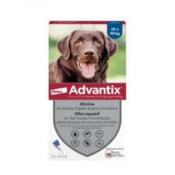 Pipettes Advantix chien