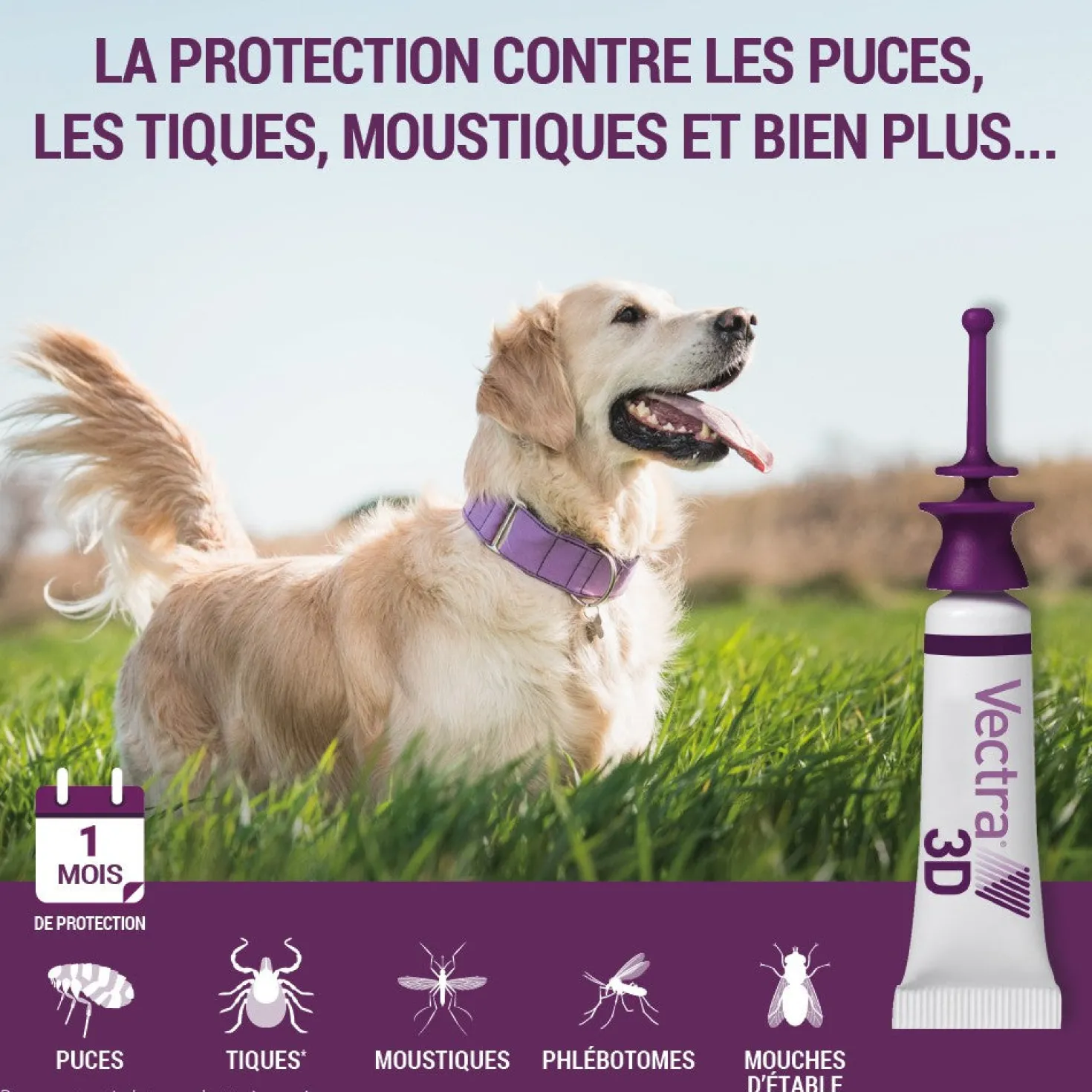 Pipettes antiparasitaires Vectra 3D Spot On chien
