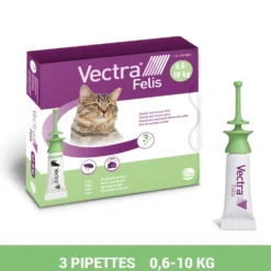Pipettes anti-puces Vectra Felis chat