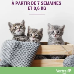 Pipettes anti-puces Vectra Felis chat