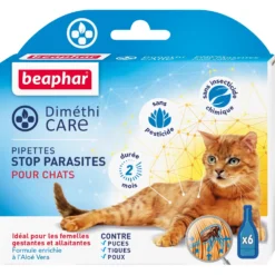 Pipettes DiméthiCARE