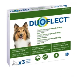Pipettes Duoflect chat, chien