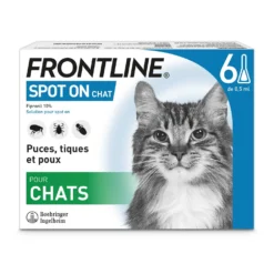 Pipettes Frontline Spot-On chat