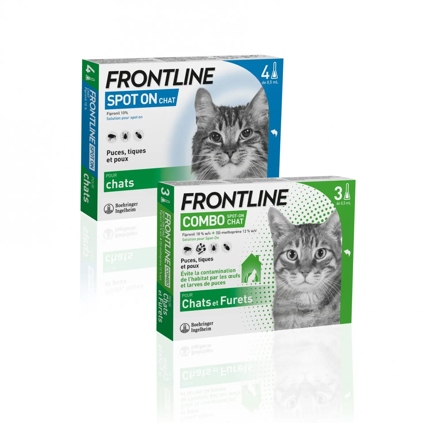 Pipettes Frontline Spot-On chat