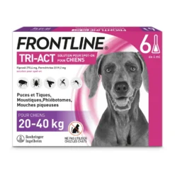 Pipettes Frontline Tri-act chien